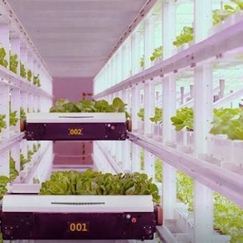 Vervoercontainerkas voor hydroponische verticale landbouw in de commerciële industrie