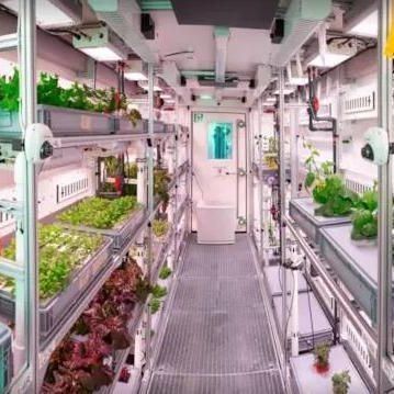 Commerciële verticale landbouwcontainer kas met hydroponisch systeem
