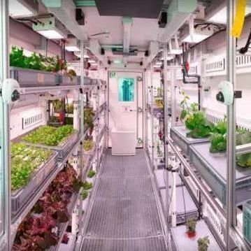 Groenten Hydroponisch systeem Container kas voor verticale landbouw Inrichting JX-CG-103
