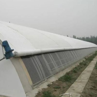 Staalconstructie/Wandvochtigheidsgecontroleerde zonnestroomkas voor groentehouderij