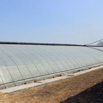 Staalconstructie/Wandvochtigheidsgecontroleerde zonnestroomkas voor groentehouderij