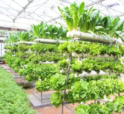 Grote verticale boerderijcontainer kas met stalen dekking en hydroponische technologie