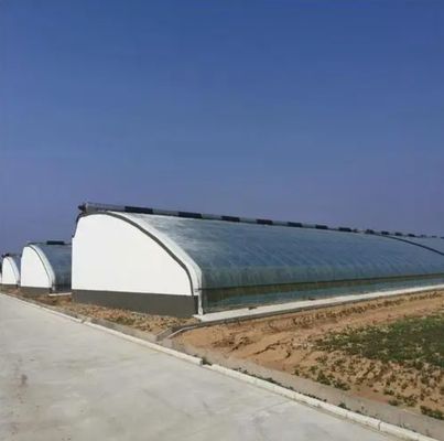 Juxiang Automatische irrigatie Zonnelicht kas voor groenten Ventilatie en schaduw
