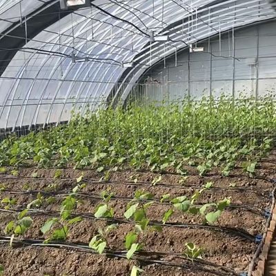 Juxiang Automatische irrigatie Zonnelicht kas voor groenten Ventilatie en schaduw
