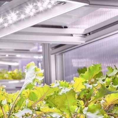 Versatile commerciële kas voor verticale hydroponische landbouw in scheepvaartcontainer
