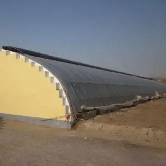 Groenhuis met zonlicht voor de tamatie-aanplant Dubbellaag en gebogen dak