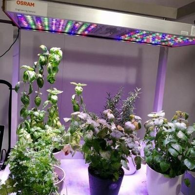 Verticale landbouwcontainer kas met hydroponische kenmerken