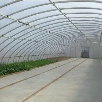 Geavanceerde groente-zonnehuis met vochtigheidscontrole en optimale plantengroei