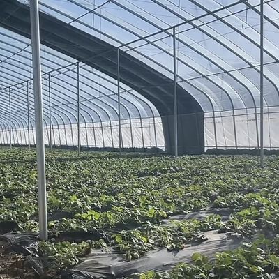 Geavanceerde groente-zonnehuis met vochtigheidscontrole en optimale plantengroei