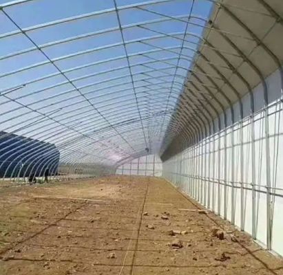 Geavanceerde groente-zonnehuis met vochtigheidscontrole en optimale plantengroei