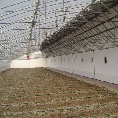 Geavanceerde groente-zonnehuis met vochtigheidscontrole en optimale plantengroei