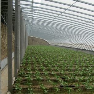 Pakket Bruto Gewicht 2000.000kg Lichte zonne-energie kas voor de teelt van groenten
