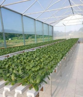 Een revolutionaire verticale hydroponische landbouwtechnologie voor de verpakking van containers