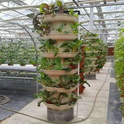 Een revolutionaire verticale hydroponische landbouwtechnologie voor de verpakking van containers