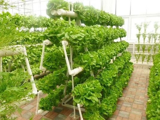 Een revolutionaire verticale hydroponische landbouwtechnologie voor de verpakking van containers