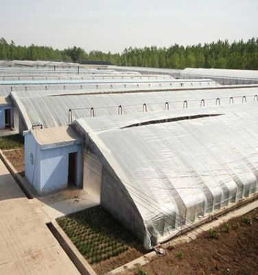 1209.00cm * 235.00cm * 239.00cm Tomaten en komkommers planten Zonlicht kas voor uw