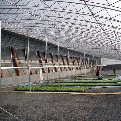 1209.00cm * 235.00cm * 239.00cm Tomaten en komkommers planten Zonlicht kas voor uw
