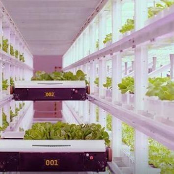 Verticale landbouwcontainer kas met hydroponische innovatie in Amerikaanse valuta