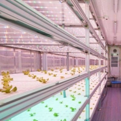 Verticale landbouwcontainer kas met hydroponische innovatie in Amerikaanse valuta