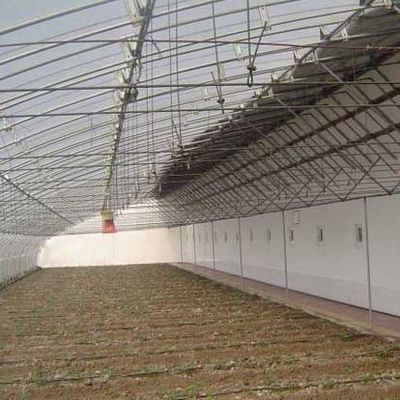 1209cm * 235cm * 239cm Filmkas voor het schaduwen en ventileren van de tomatenplant