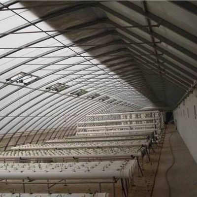 1209cm * 235cm * 239cm Filmkas voor het schaduwen en ventileren van de tomatenplant