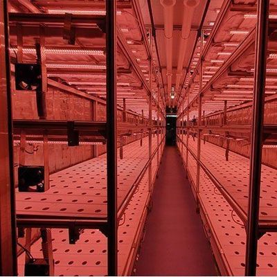 Verticale landbouwcontainerkas in scheepvaartcontainerontwerp