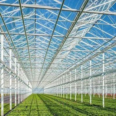 Venlo-glaskassen op maat met extern schaduwstelsel