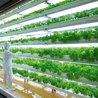 Hoge vochtigheid Verticale landbouw Hydroponische container kas voor groenten