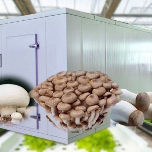 Hoge vochtigheid Verticale landbouw Hydroponische container kas voor groenten