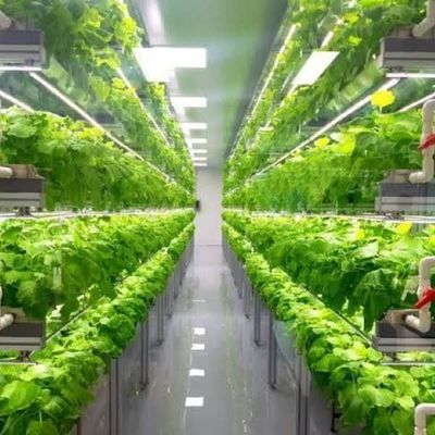 Meervoudige houderkasten voor hydroponisch systeem en voordelen van verticale landbouw