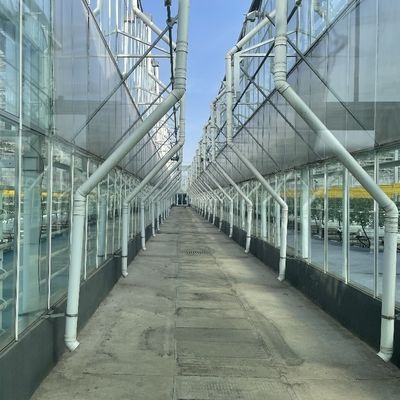 Tuin Groenten en bloemen Gelaagd dakkas met hydroponicsysteem