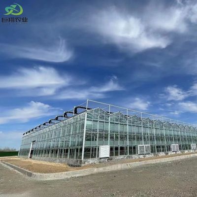 Tuin Groenten en bloemen Gelaagd dakkas met hydroponicsysteem
