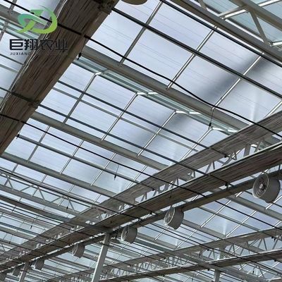 Tuin Groenten en bloemen Gelaagd dakkas met hydroponicsysteem