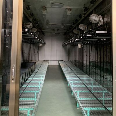 Staalbedekking Hydroponische verticale landbouwcontainer kas met geavanceerde technologie