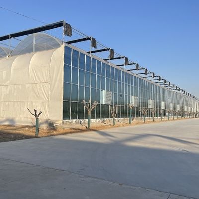 Doppelschijferhydroponisch systeem Groenhuis met hoge tunnelfilm