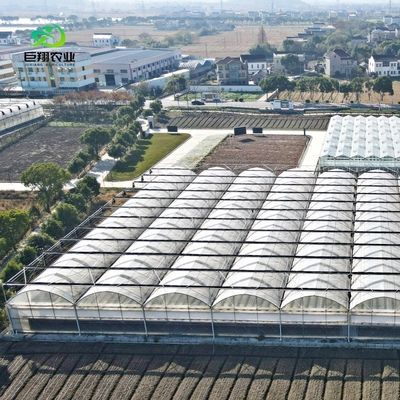 Hydroponische kweekhuizen bedekt met plastic plaat en enkelvoudig ontwerp