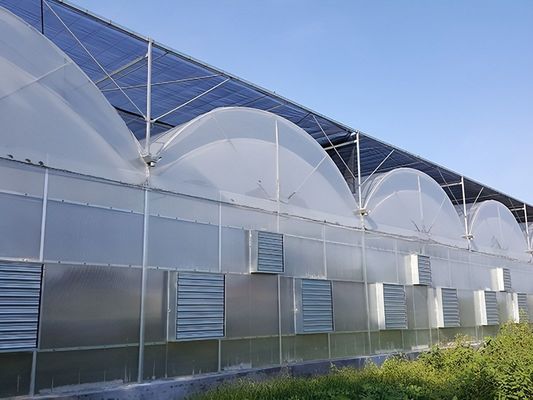 Hydroponische kweekhuizen bedekt met plastic plaat en enkelvoudig ontwerp