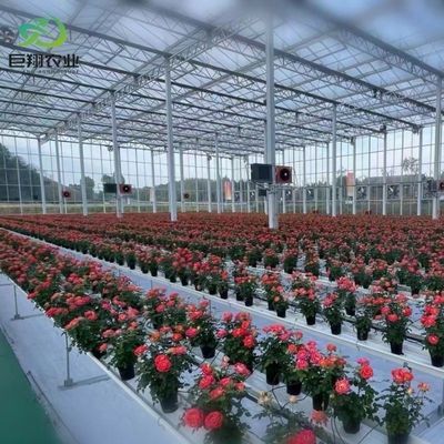Aanpassing Juxiang Greenhouse's aanpasbare commerciële film en glazen kas