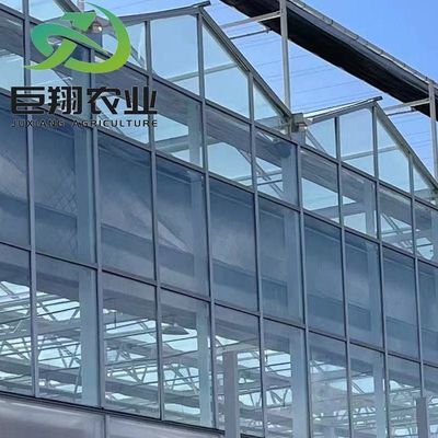 Aanpassing Juxiang Greenhouse's aanpasbare commerciële film en glazen kas