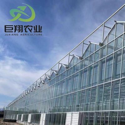 Aanpassing Juxiang Greenhouse's aanpasbare commerciële film en glazen kas