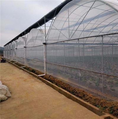 Multi-Span Hydroponisch systeem voor boerderijfilmpakket voor kassen Bruto gewicht 2000.000kg