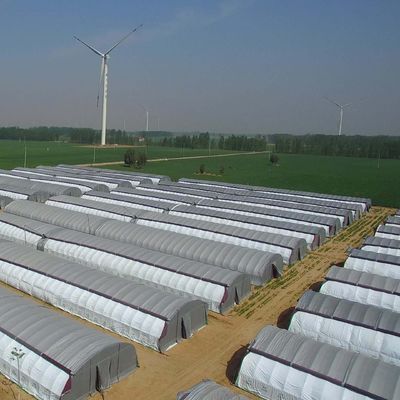 Multi-Span Hydroponisch systeem voor boerderijfilmpakket voor kassen Bruto gewicht 2000.000kg
