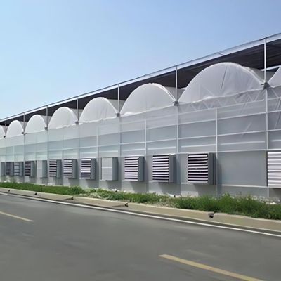 Multi-Span Hydroponisch systeem voor boerderijfilmpakket voor kassen Bruto gewicht 2000.000kg
