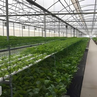 Multi-Span Hydroponisch systeem voor boerderijfilmpakket voor kassen Bruto gewicht 2000.000kg