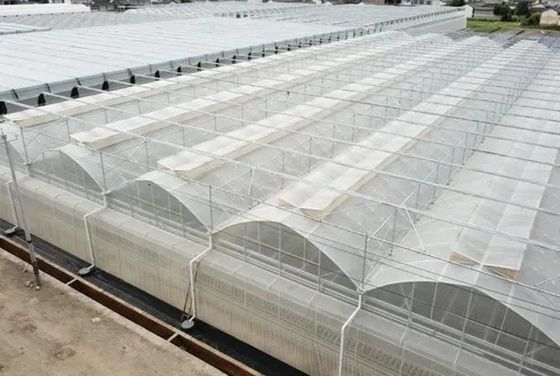 Oorsprong Double-Arch Hydroponic Greenhouse JX-FG-001 met en 1 vierkante meter Min.Order