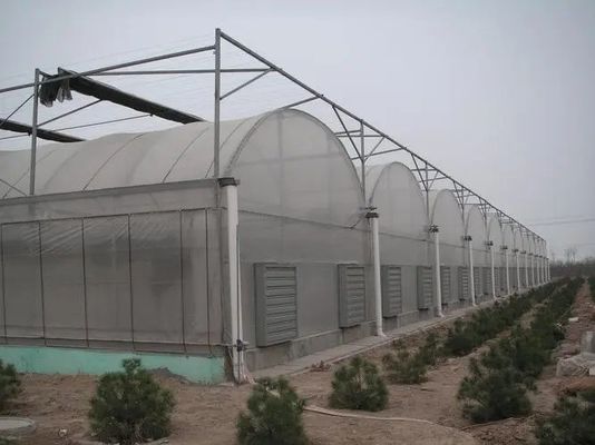 Oorsprong Double-Arch Hydroponic Greenhouse JX-FG-001 met en 1 vierkante meter Min.Order
