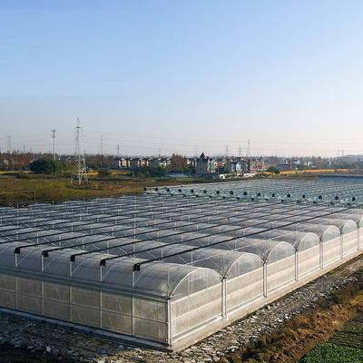 Oorsprong Double-Arch Hydroponic Greenhouse JX-FG-001 met en 1 vierkante meter Min.Order