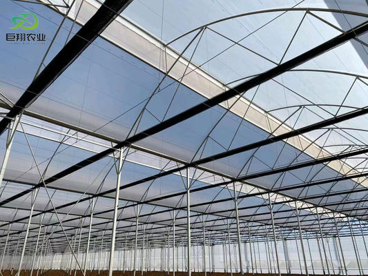 Juxiang Hydroponic Farm Film Greenhouse met staalstructuur en terugbetaling van 30 dagen
