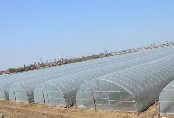 US Single-Pan Greenhouse System voor de teelt van groenten en bloemen 30 dagen terugbetaling
