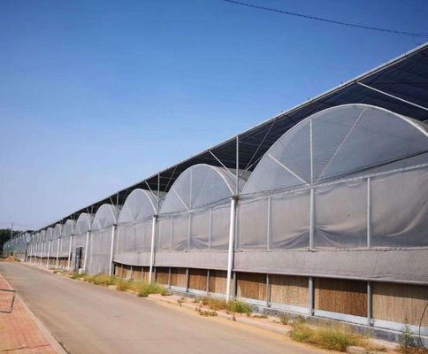 Meervoudig hydroponisch kassysteem voor productie en commerciële experimenten